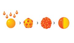 ENLARGE :: Pelletizing process ENLARGE :: Pelletizing process